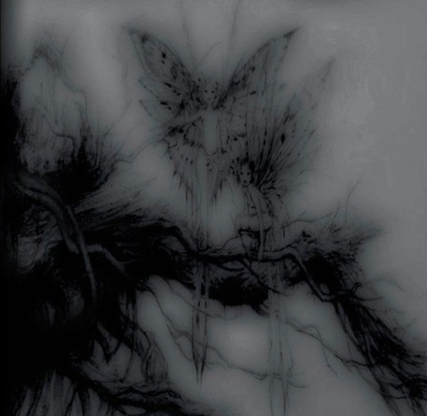 grungehippiebabe header picture leakfans.com