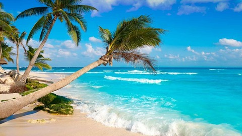 guniofree header picture leakfans.com