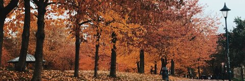 gxbbybyrne header picture leakfans.com