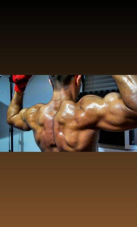 gymsaul header picture leakfans.com