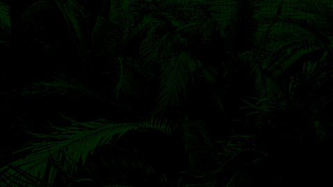 h0rnymax header picture leakfans.com