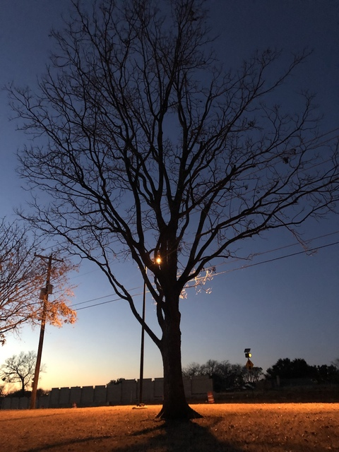 h0tgxrl header picture leakfans.com