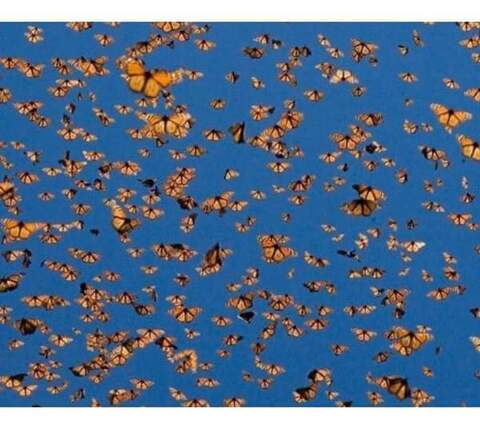 haditahot header picture leakfans.com