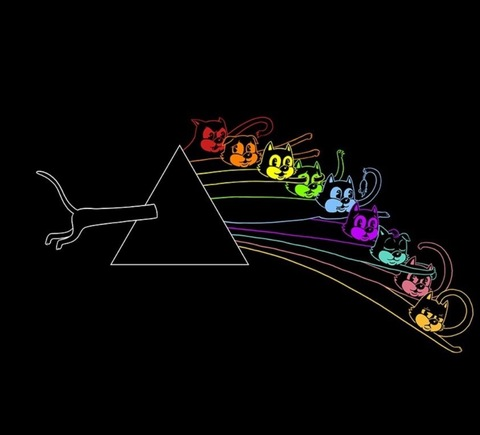 hailsatan69420 header picture leakfans.com