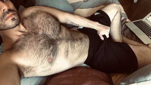 Header of hairywolfy