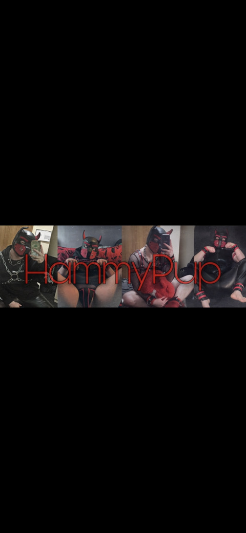 hammypup header picture leakfans.com