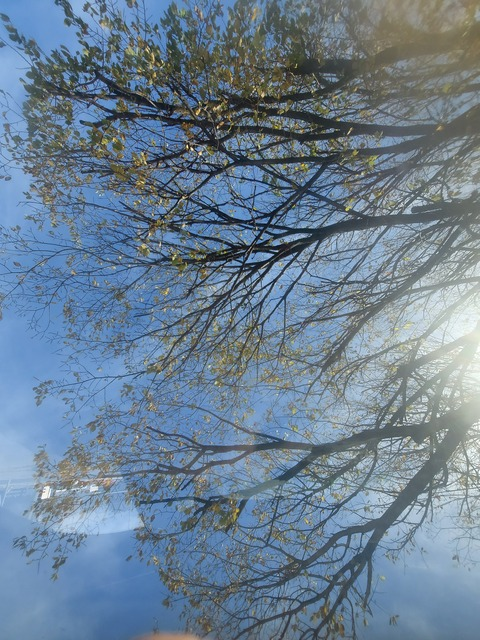 hannahheart11 header picture leakfans.com