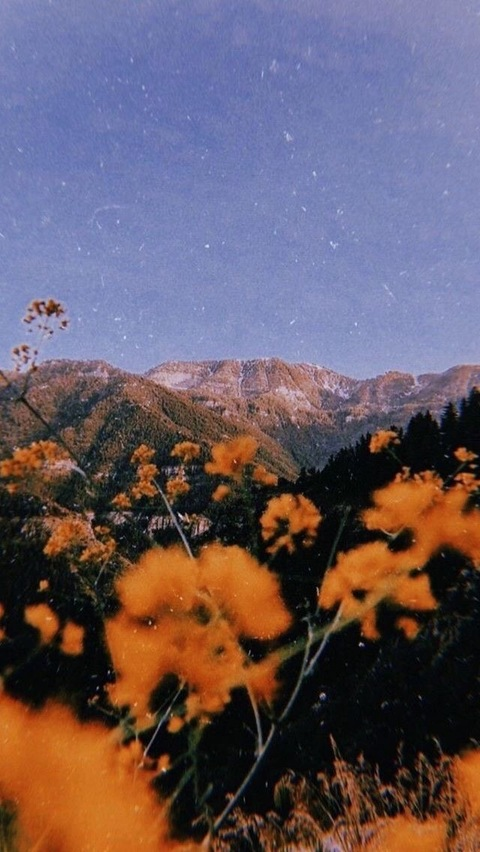 hannahkyo header picture leakfans.com