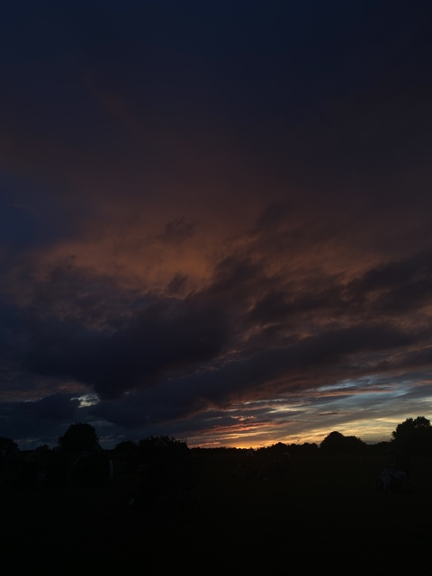 hanonymous header picture leakfans.com