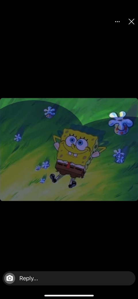 hapa_bunny header picture leakfans.com