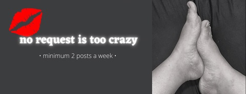 happyfeet_nl header picture leakfans.com