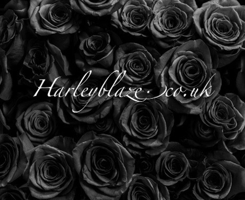 Header of harleyblaze0