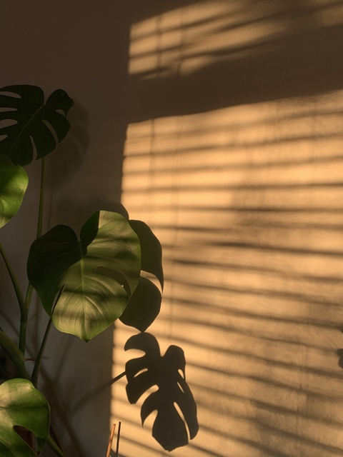 harleynyxjones header picture leakfans.com