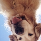 harlow profile picture leakfans.com