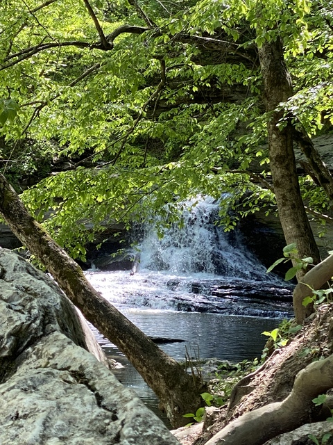 harold85 header picture leakfans.com