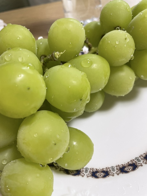 harrie_ttt header picture leakfans.com