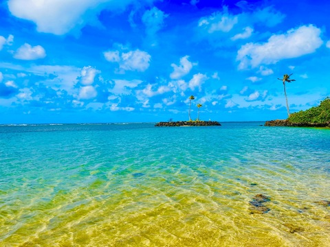 hawaiian808 header picture leakfans.com