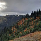 haydenwd profile picture leakfans.com