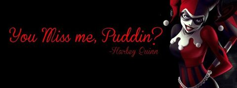 hayl3yquinn header picture leakfans.com