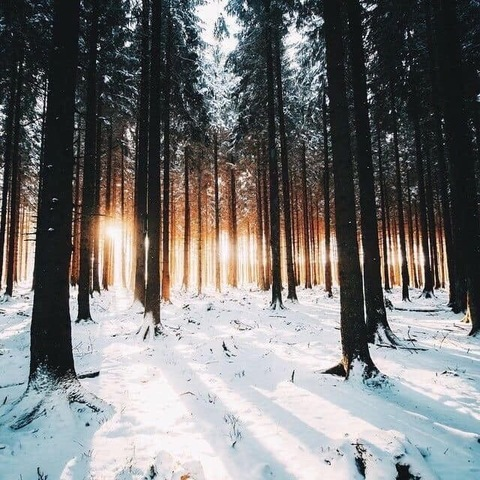 hayley.bayley header picture leakfans.com