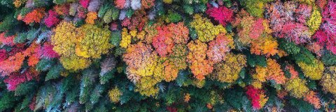 haylzz header picture leakfans.com