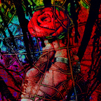 heartlessinlove profile picture leakfans.com