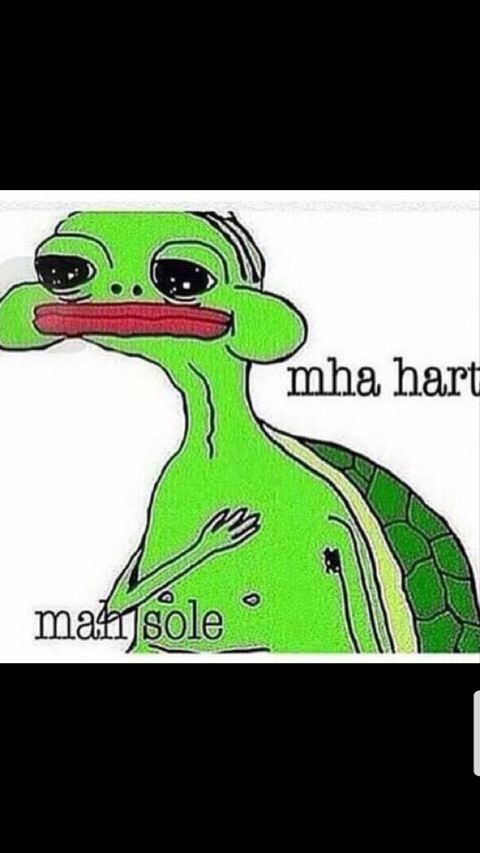 heatmiser101 header picture leakfans.com