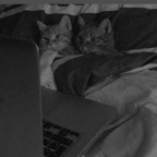 hellenax profile picture leakfans.com