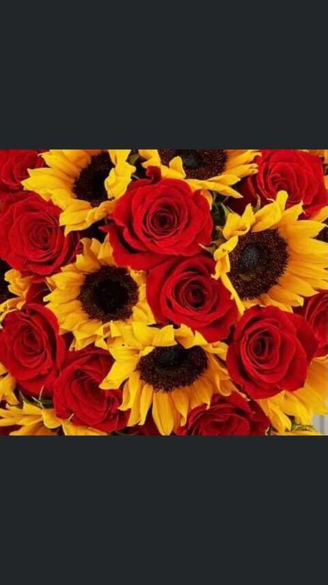 henni.baby420 header picture leakfans.com