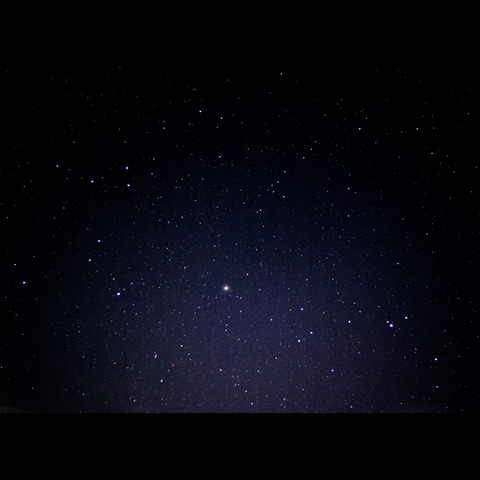 hernxxx header picture leakfans.com