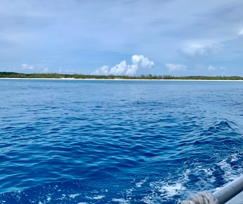 heydahlia header picture leakfans.com