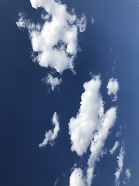 hg1414 header picture leakfans.com