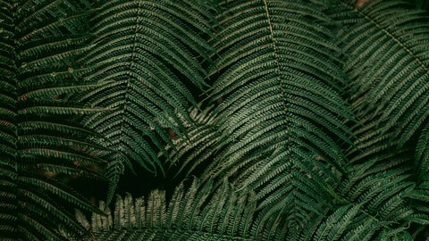 hibabyhru header picture leakfans.com