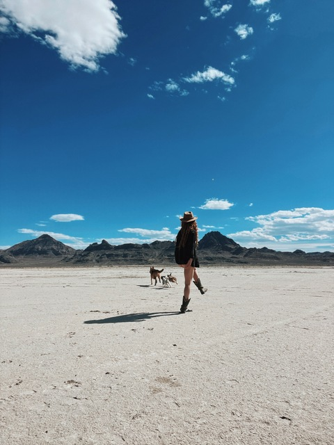 hippiegg header picture leakfans.com