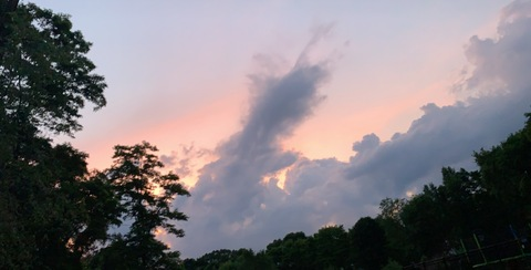 hoffzilla header picture leakfans.com