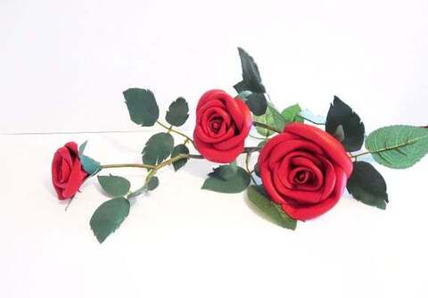 hollyheartleather header picture leakfans.com