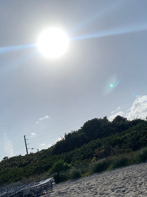 holtnangel header picture leakfans.com