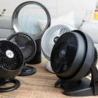 holyfanz profile picture leakfans.com