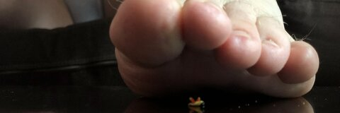 homegiant header picture leakfans.com