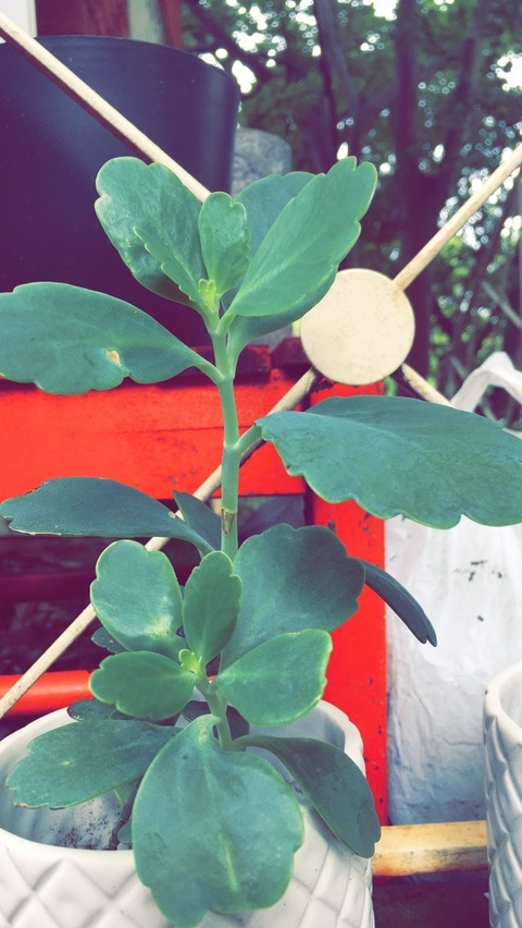 homescreen69 header picture leakfans.com