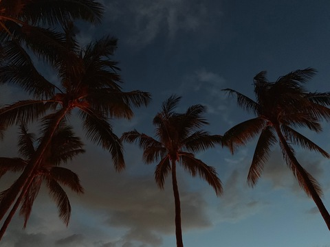 hondahazel header picture leakfans.com