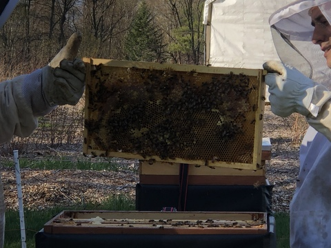 honey603 header picture leakfans.com