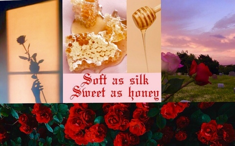 Header of honey_roses