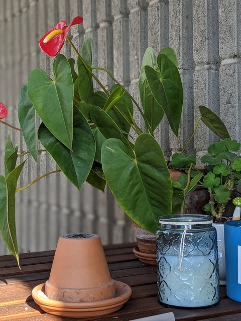 honeybunchesofooos header picture leakfans.com