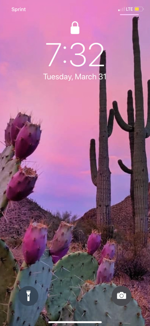 honeykisses9096 header picture leakfans.com