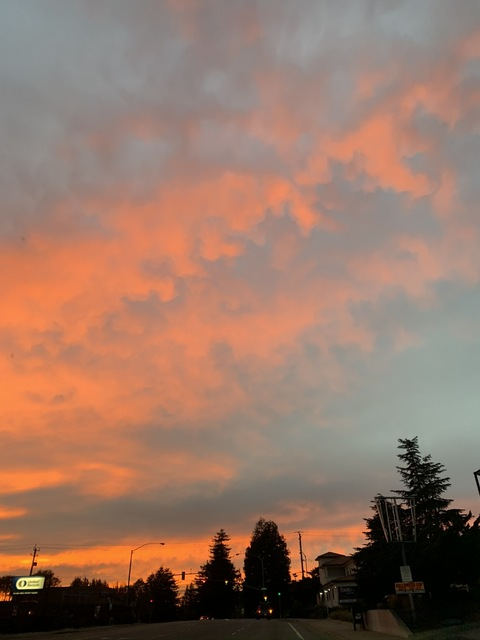 honeyy_bunns header picture leakfans.com