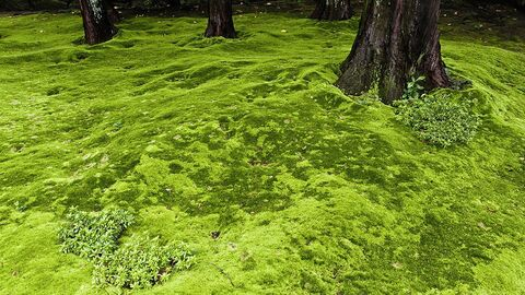 hornygamergothboy header picture leakfans.com