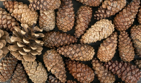 hot_ky header picture leakfans.com