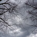 hotmilfcouple profile picture leakfans.com