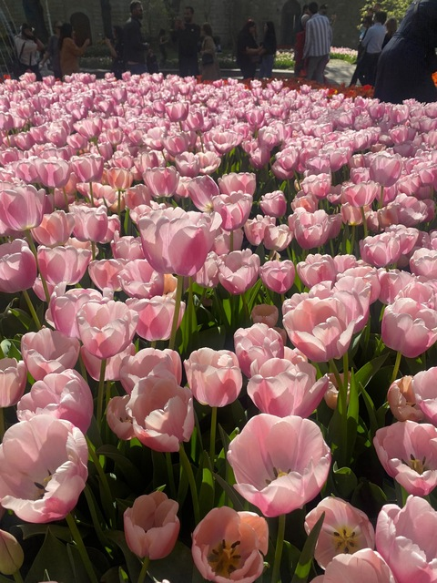 hristoskina header picture leakfans.com